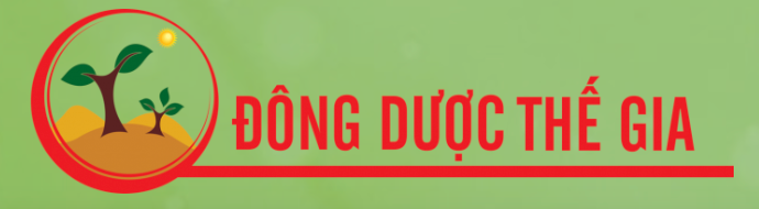 CÔNG TY CỔ PHẦN SẢN XUẤT THỰC PHẨM VÀ  ĐÔNG DƯỢC THẾ GIA